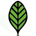Yerba Mate Reviews